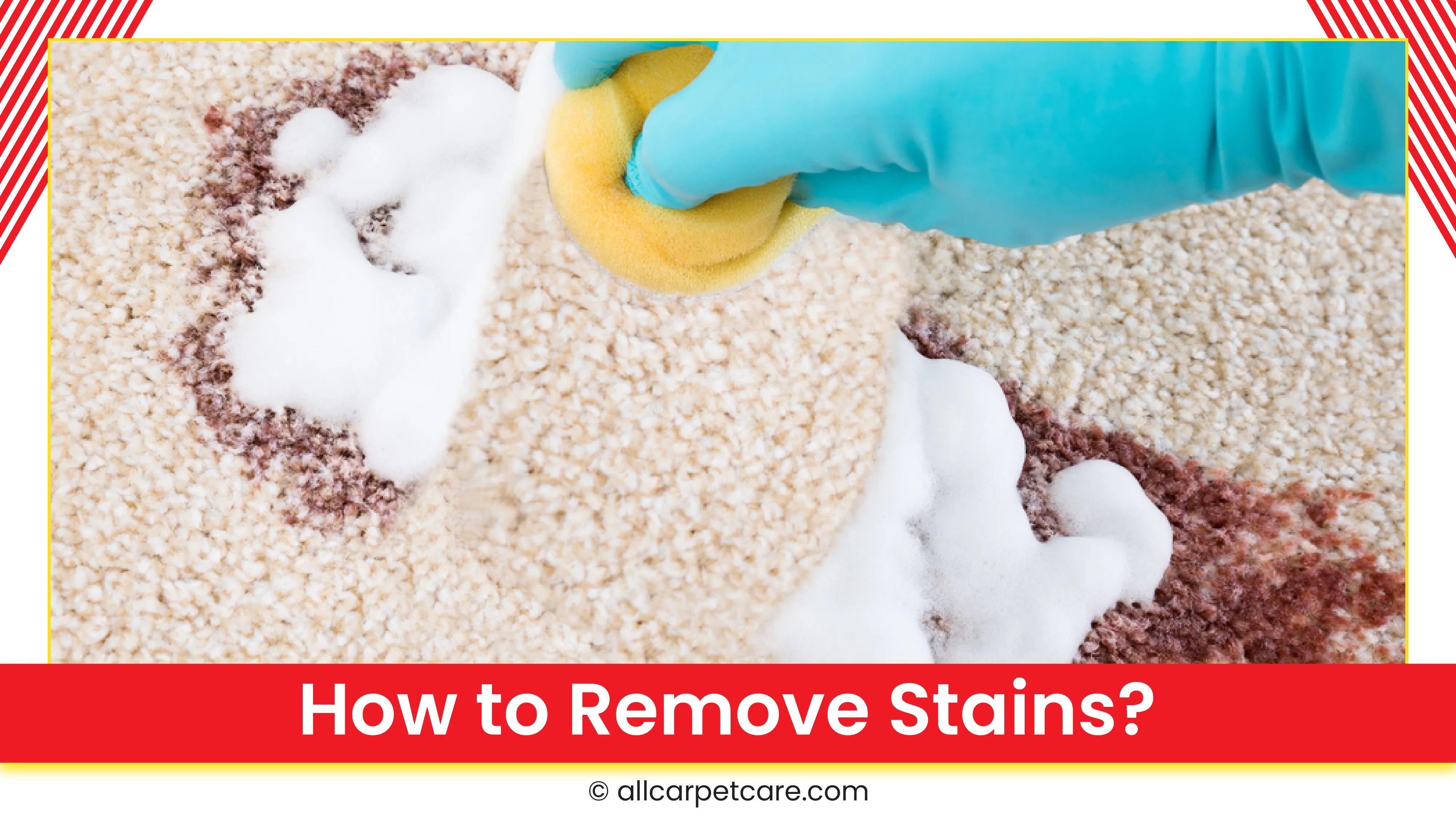 carpet cleaning in new york, carpet cleaning new york, carpet cleaners in new york, carpet cleaners in ny, commercial carpet cleaning, commercial carpet cleaning in ny, ny rug cleaners, rug cleaning services in new york, same day carpet cleaning, same day rug cleaning in ny