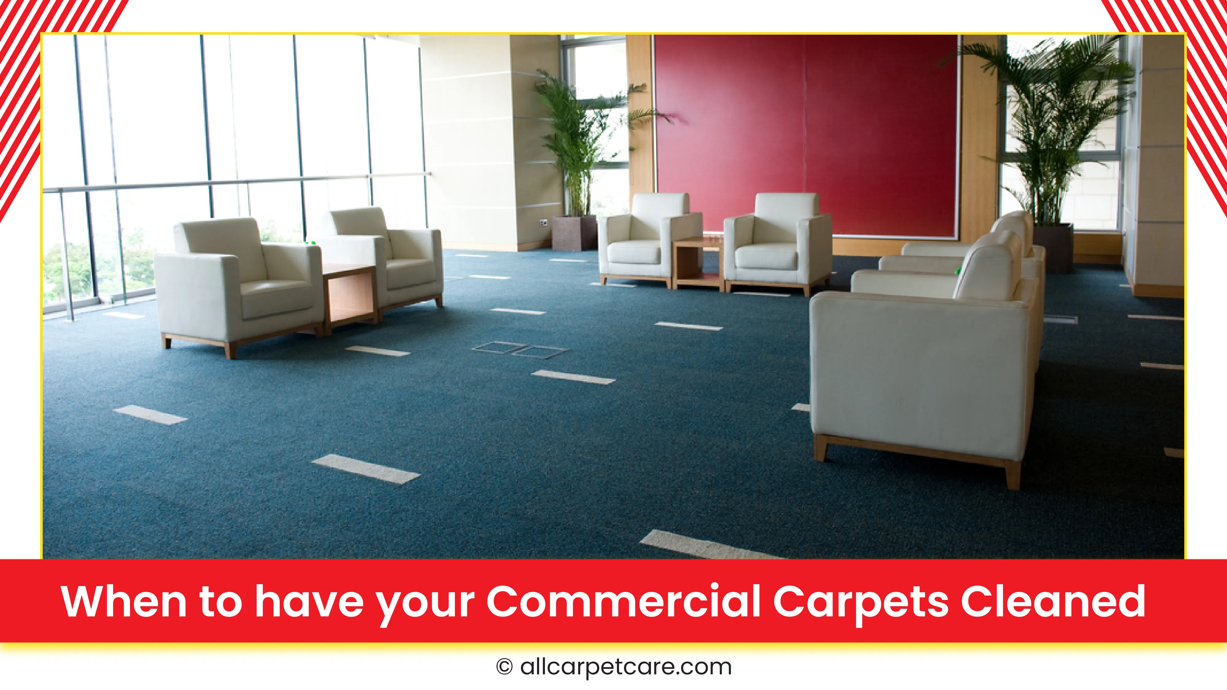 carpet cleaning in new york, carpet cleaning new york, carpet cleaners in new york, carpet cleaners in ny, commercial carpet cleaning, commercial carpet cleaning in ny, ny rug cleaners, rug cleaning services in new york, same day carpet cleaning, same day rug cleaning in ny