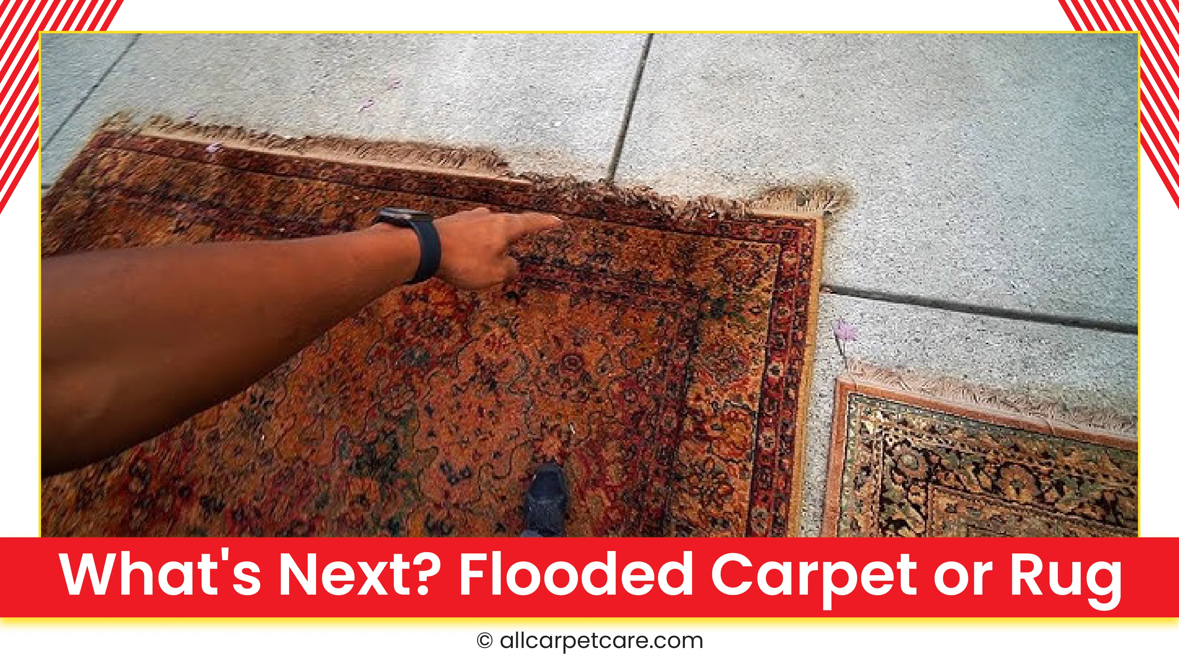 carpet cleaning in new york, carpet cleaning new york, carpet cleaners in new york, carpet cleaners in ny, commercial carpet cleaning, commercial carpet cleaning in ny, ny rug cleaners, rug cleaning services in new york, same day carpet cleaning, same day rug cleaning in ny