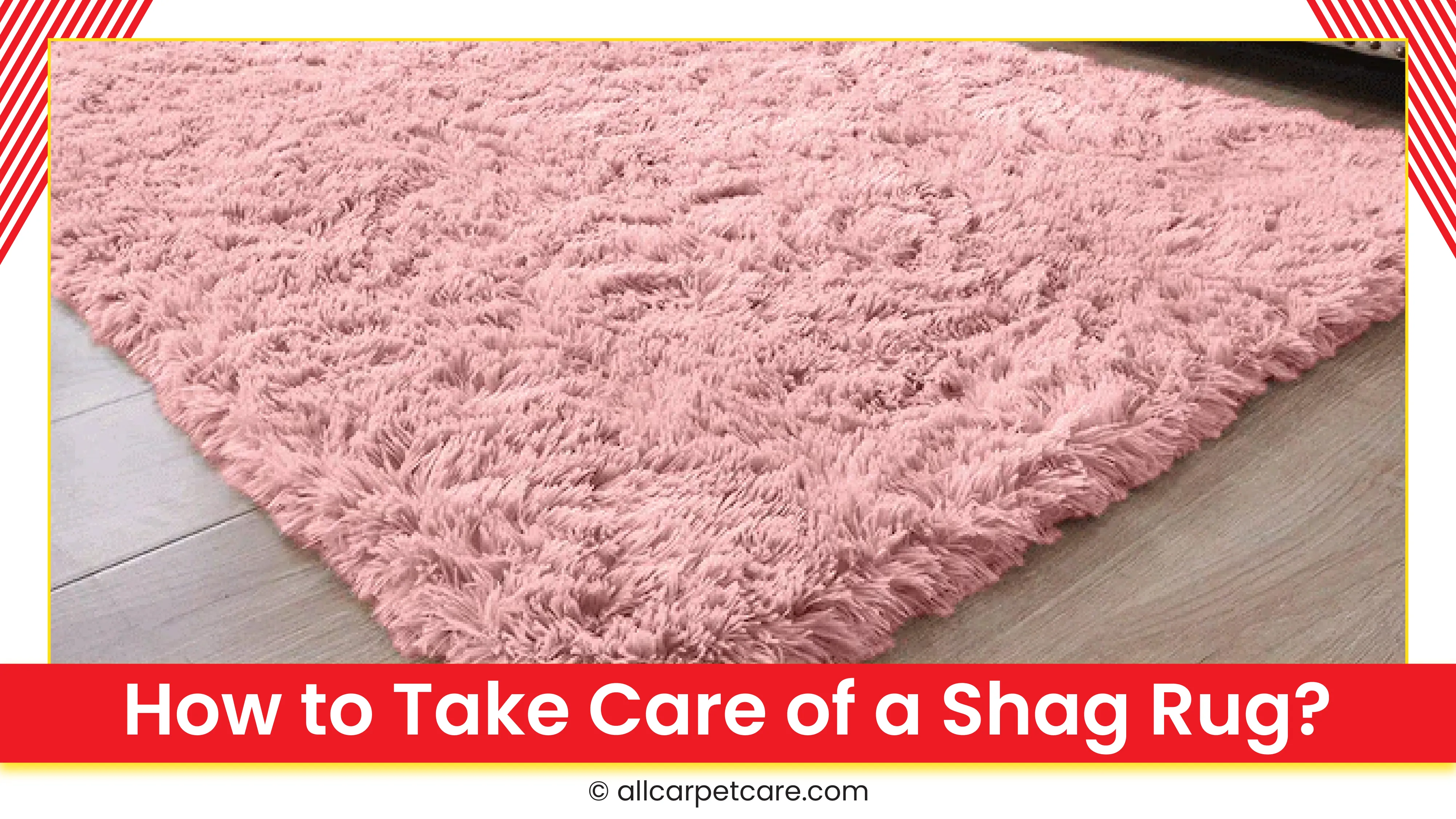 carpet cleaning in new york, carpet cleaning new york, carpet cleaners in new york, carpet cleaners in ny, commercial carpet cleaning, commercial carpet cleaning in ny, ny rug cleaners, rug cleaning services in new york, same day carpet cleaning, same day rug cleaning in ny