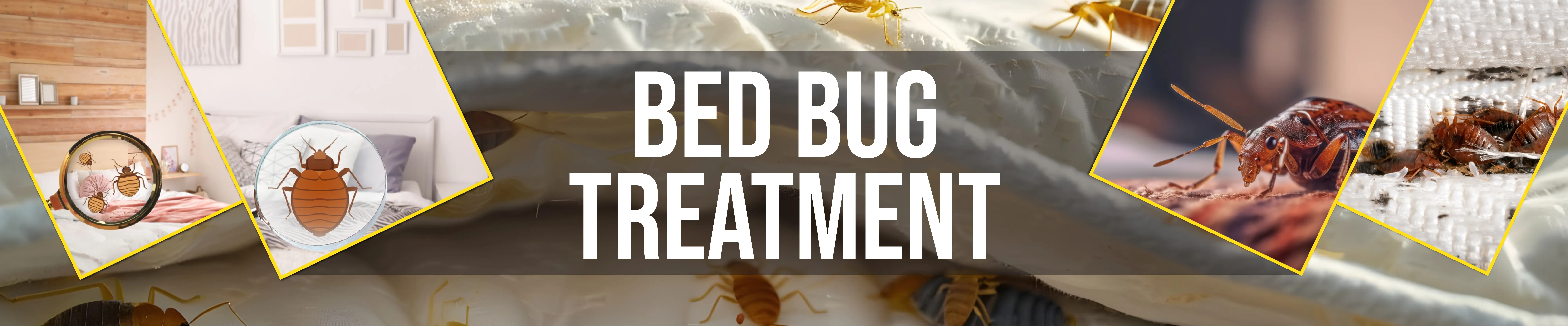 Bed Bug Treatment Brooklyn NY