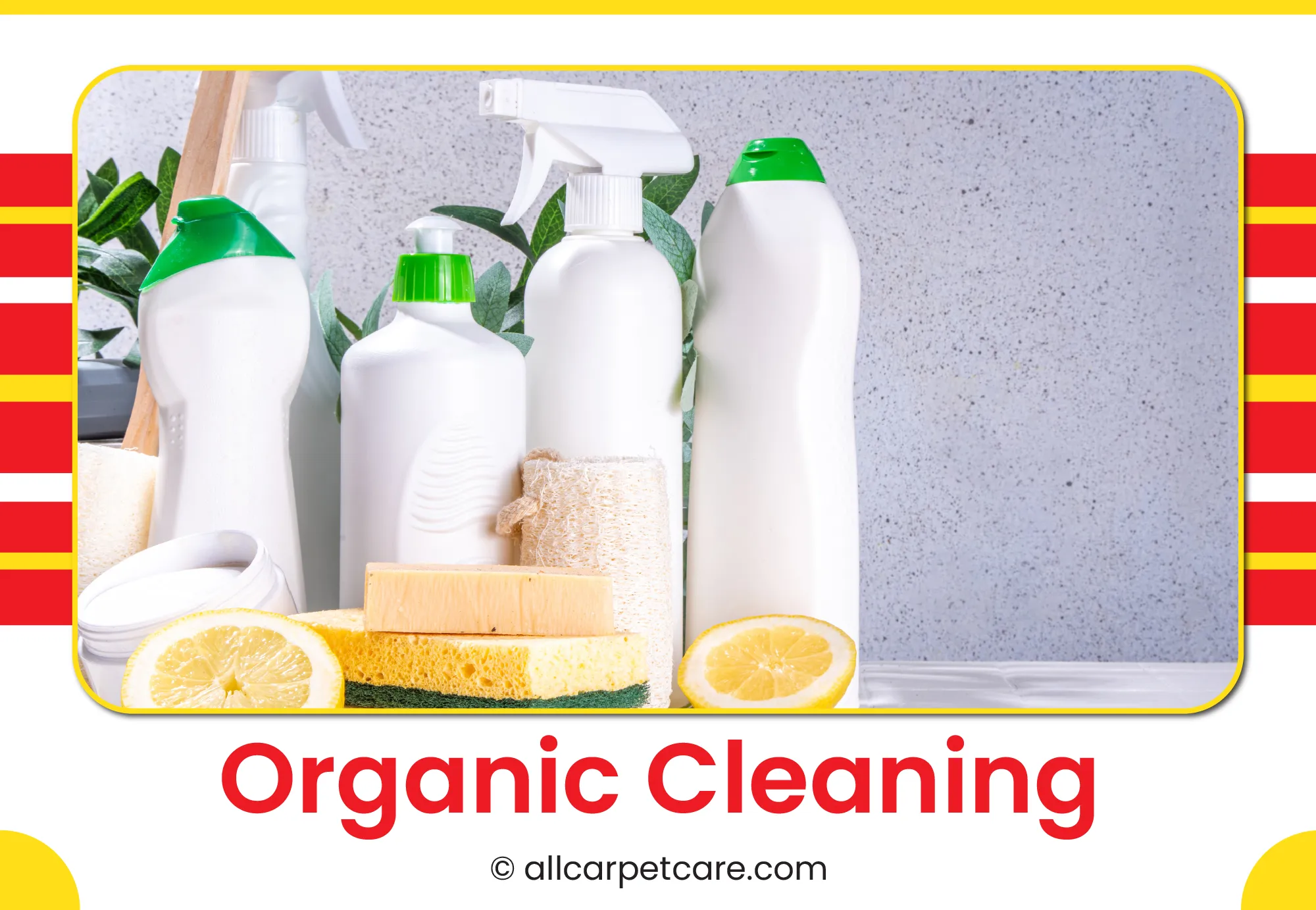 Organic Cleaning Services Brooklyn