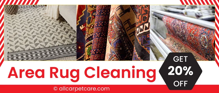 Get 20% Off on Area Rug Cleaning Brooklyn