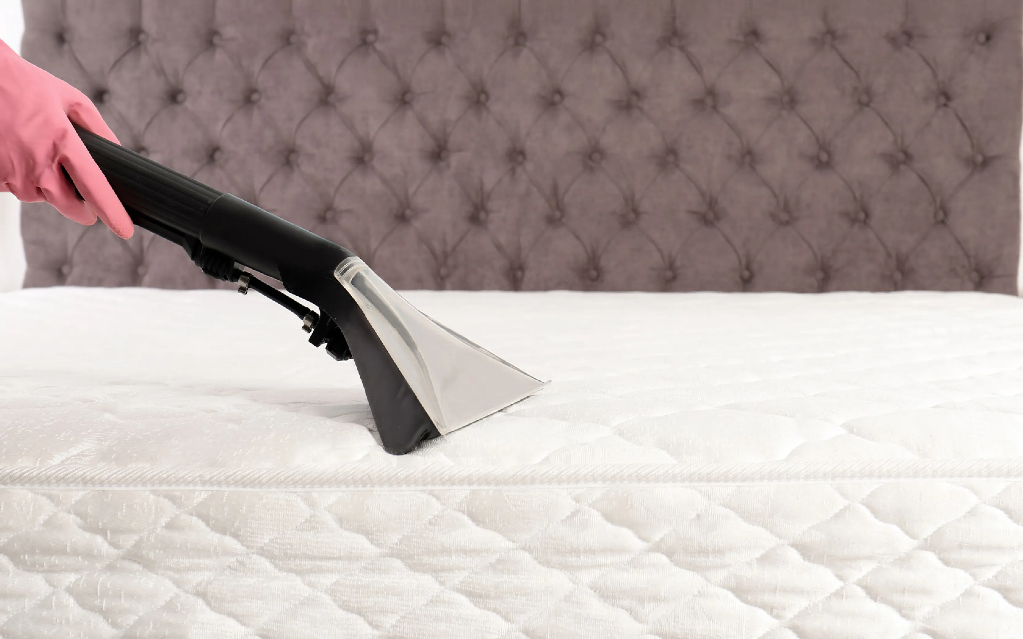 professional mattress cleaning