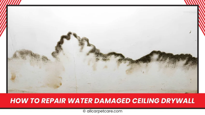 How To Repair Water Damaged Ceiling Drywall: A Complete DIY Guide