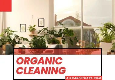 Organic Cleaning